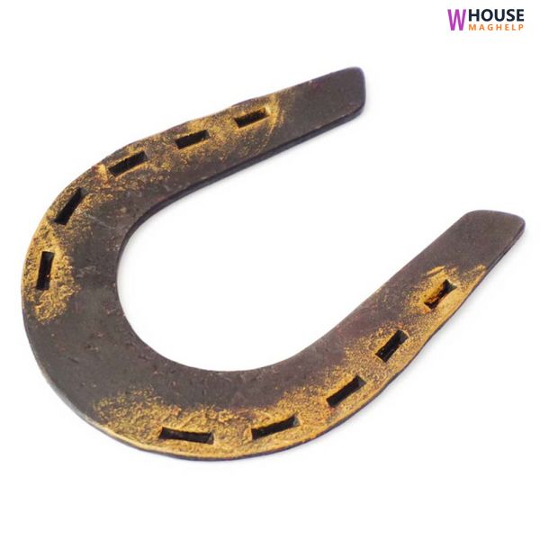 Large forged horseshoe